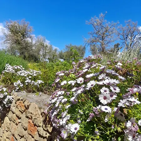 Jenny's Greek Apartamento