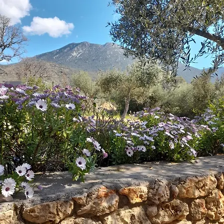 Jenny's Greek * Lévktron