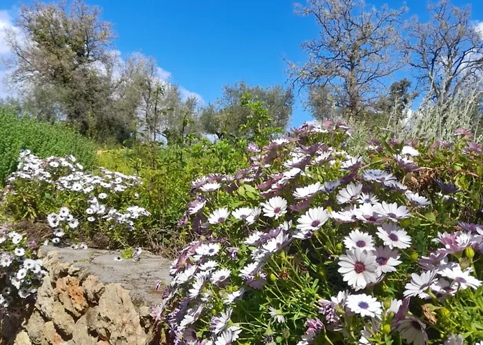 Jenny's Greek Apartament