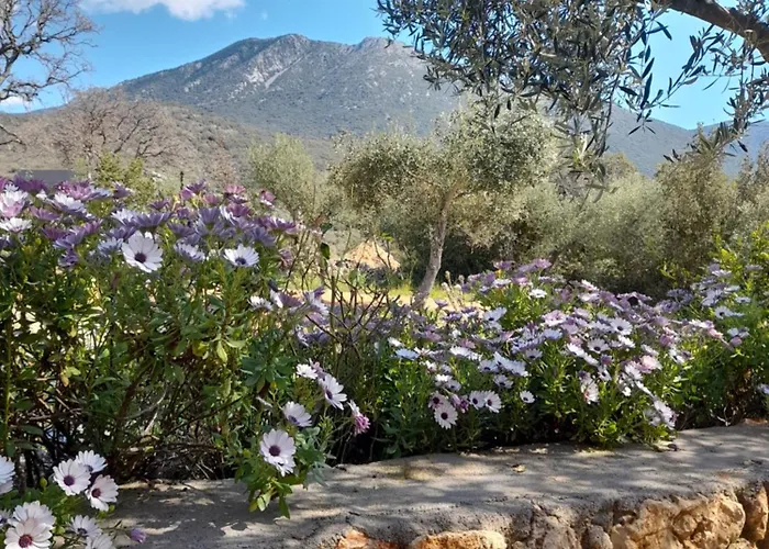 Jenny's Greek * Λεύκτρο